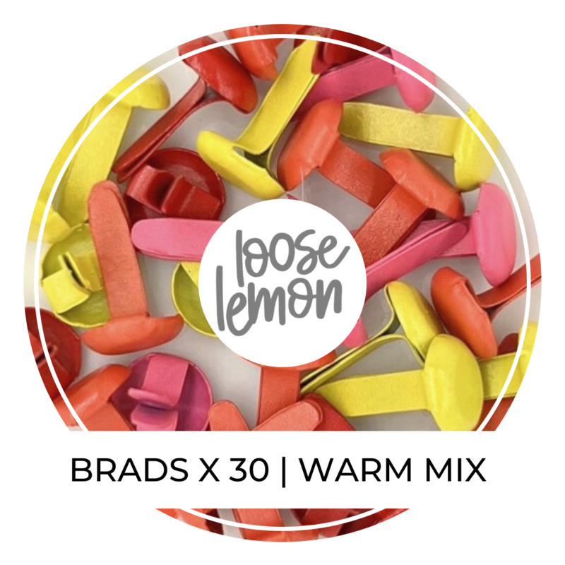 8Mm Brads X 30 | Warm Mix