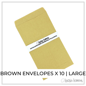 Brown Envelopes X 10 | Large