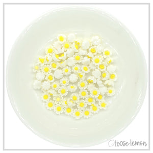 Mini Resin Flowers  | White