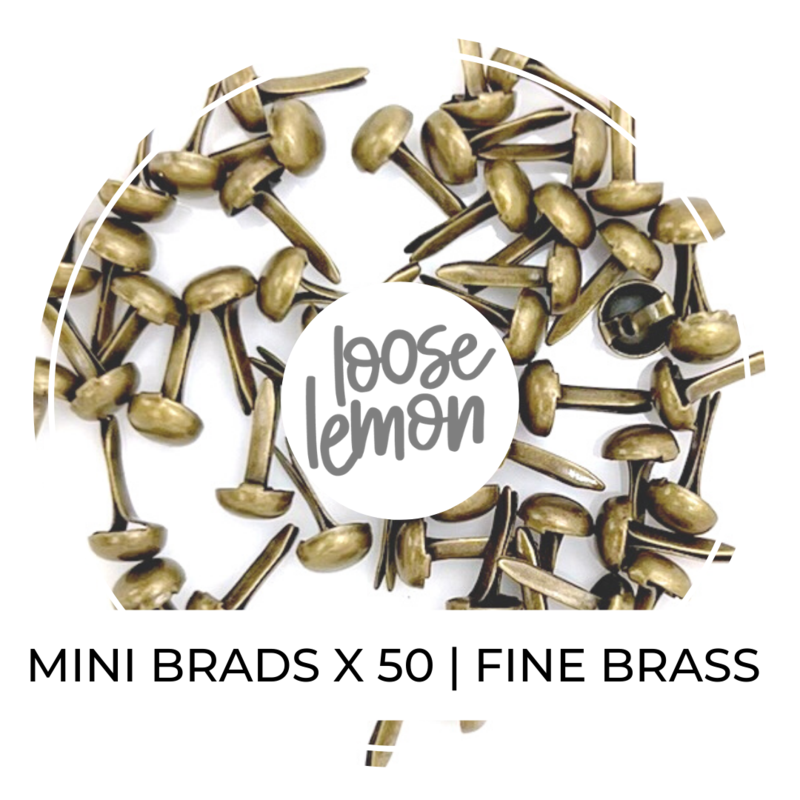 Mini Brads X 50 | Fine Brass