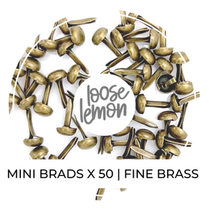 Mini Brads X 50 | Fine Brass