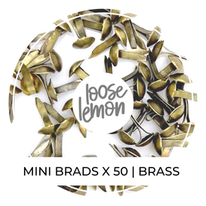 Mini Brads X 50 | Brass