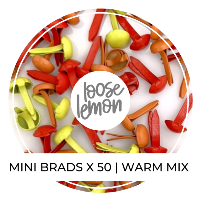 Mini Brads X 50 | Warm Mix