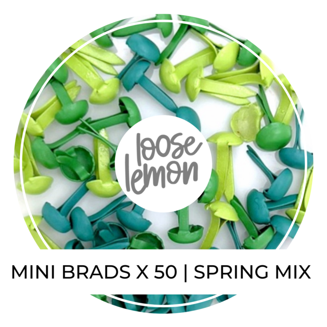 Mini Brads X 50 | Spring Mix